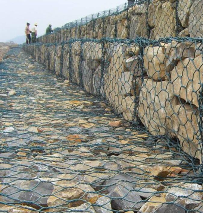 ���B(t��i)�̞Iʯ�\�W(w��ng)�|