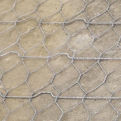 ��·��ӽ�W(w��ng)15531868633