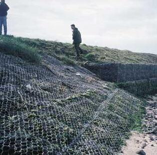 ��\�U�zʯ�\�W(w��ng)�|