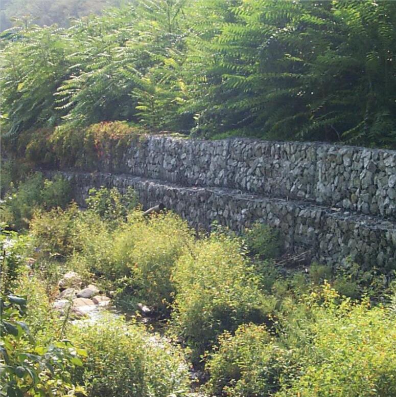 ʯ�\�W15531868633