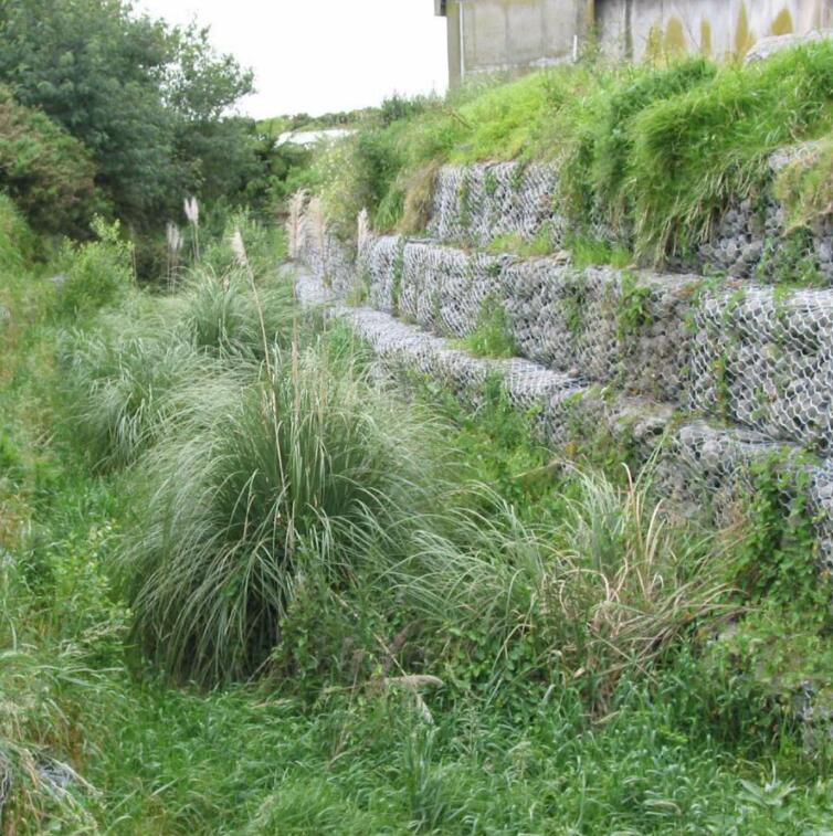 ���Z�o(h��)�|����