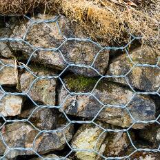 ʯ�\�W(w��ng)15531868633