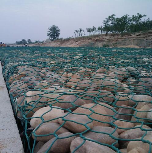 ������g���B(t��i)�̞Iʯ�\�W(w��ng)�|