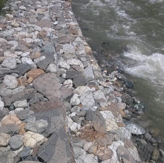 ���e�|�o��15531868633