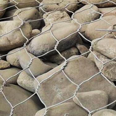 ���e15531868633