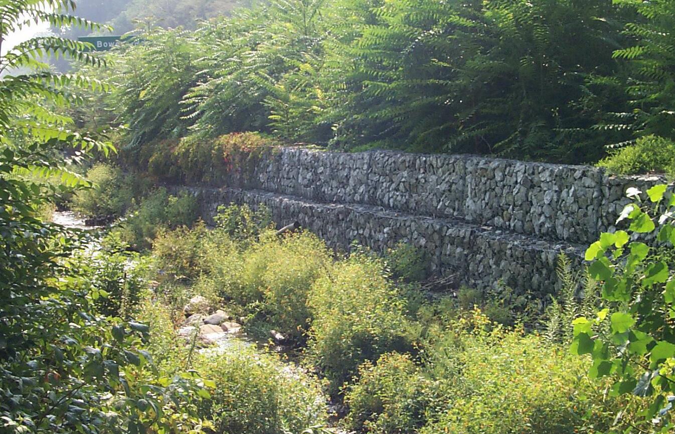 �p�g�ϸ��e�W(w��ng)ʯ�\�o��Ҏ(gu��)����̖