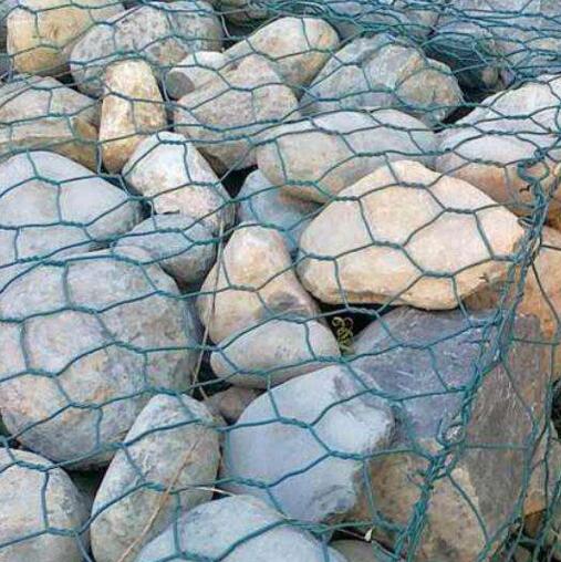 ��g���B(t��i)��W(w��ng)�\