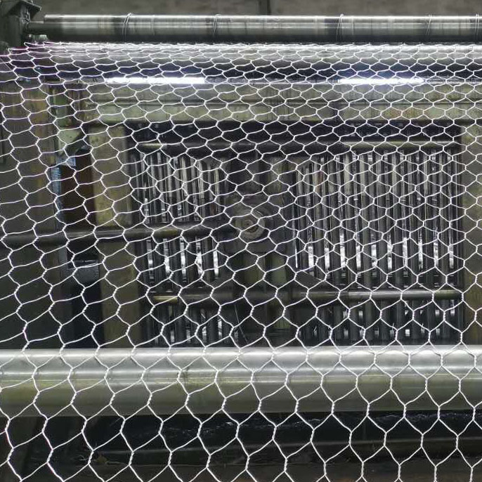 �ߏ�(qi��ng)�W(w��ng)��