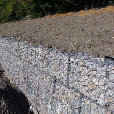 僸ߠ���ʯ�\���e�W(w��ng)