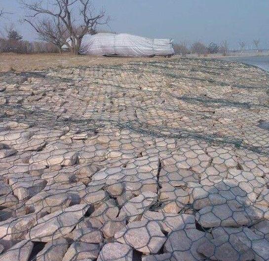 �o��ʯ�\�W(w��ng)