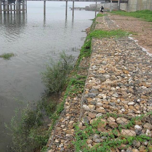 �G�����B(t��i)��W(w��ng)15531868633