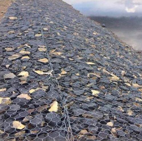 ���e���B(t��i)�o(h��)��15531868633