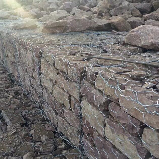 �̷��o�����e�\