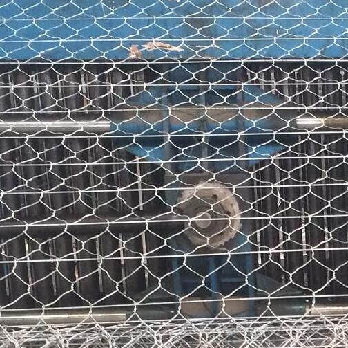 ·��ӽ�W(w��ng)�S��15531868633