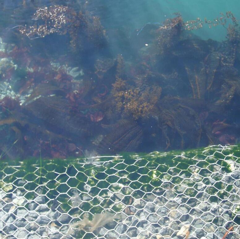 �ӵ��o(h��)��ʯ�\�W(w��ng)15531868633