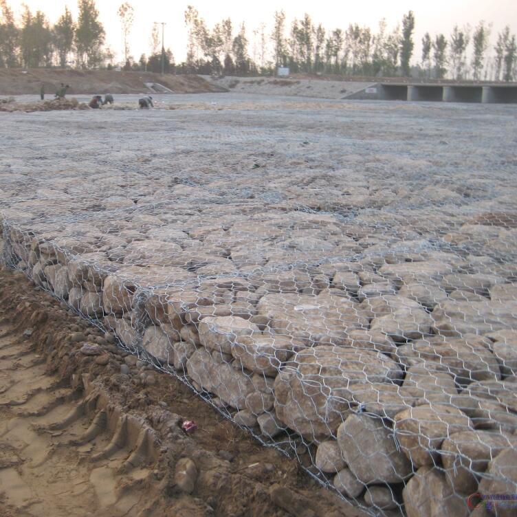 ���B(t��i)��W(w��ng)ʯ�\15531868633