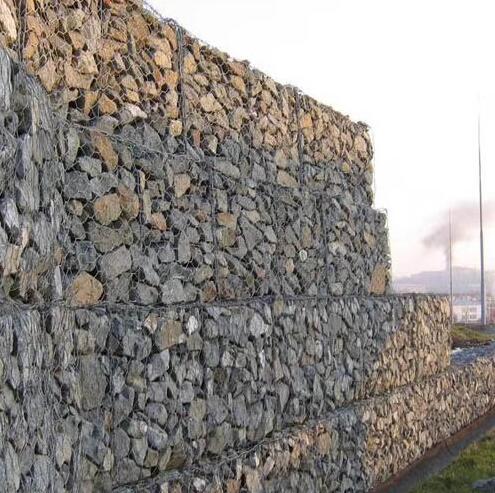 ���B(t��i)��W(w��ng)����