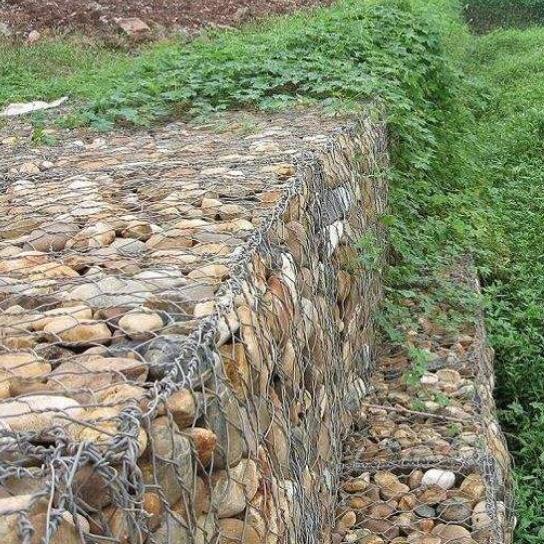 ��\���e�W(w��ng)�S��15531868633