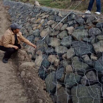 僸ߠ������e�W(w��ng)�\15531868633