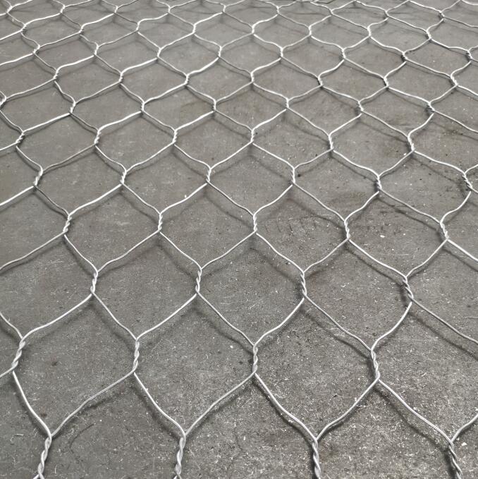 �o(h��)�_���B(t��i)���e�W(w��ng)