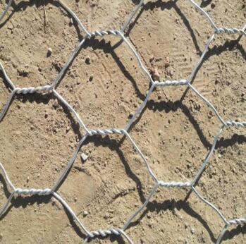 �������ǾW(w��ng)